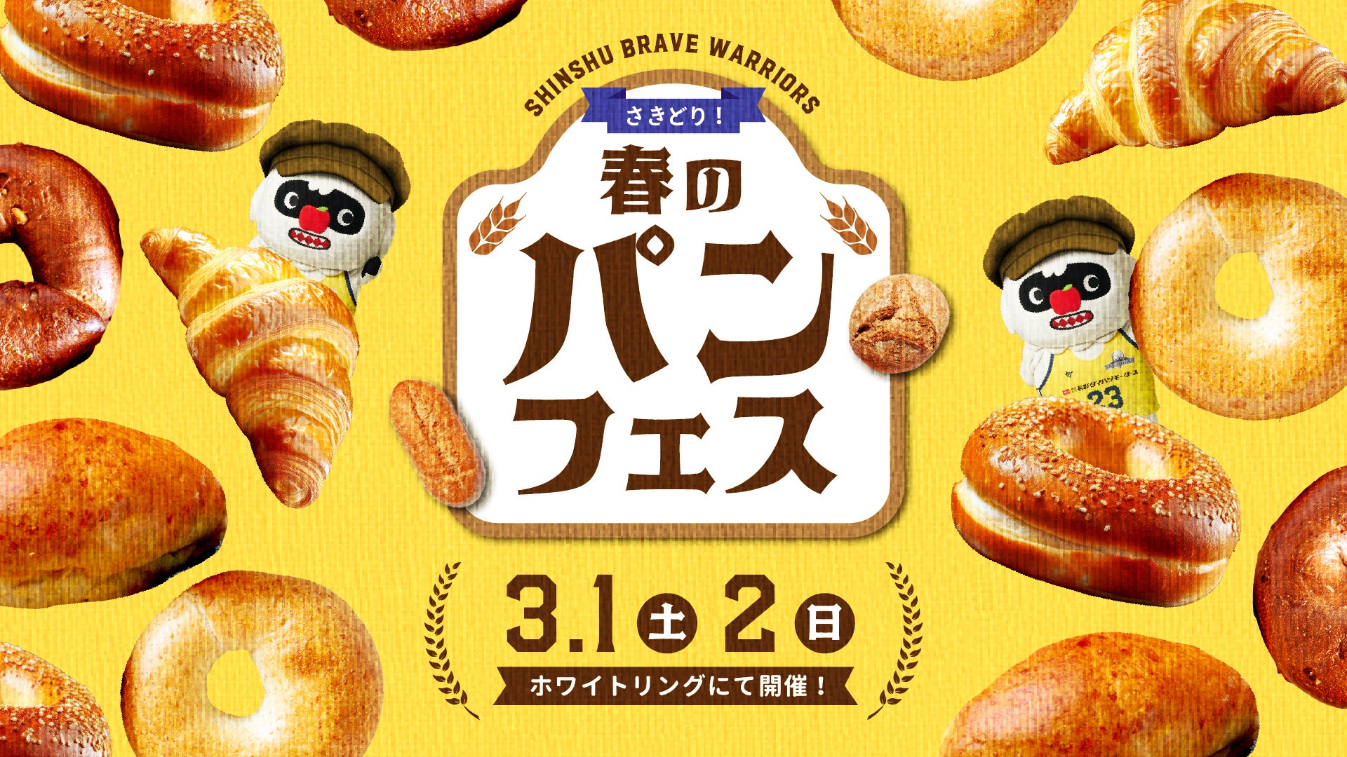 3月1日㈯・2日㈰ 福井ブローウィンズ戦 さきどり！春のパンフェス開催